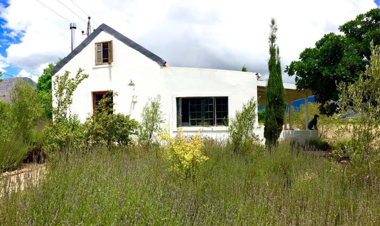 Designer Farm Cottage On Farm Franschhoek Exteriér fotografie